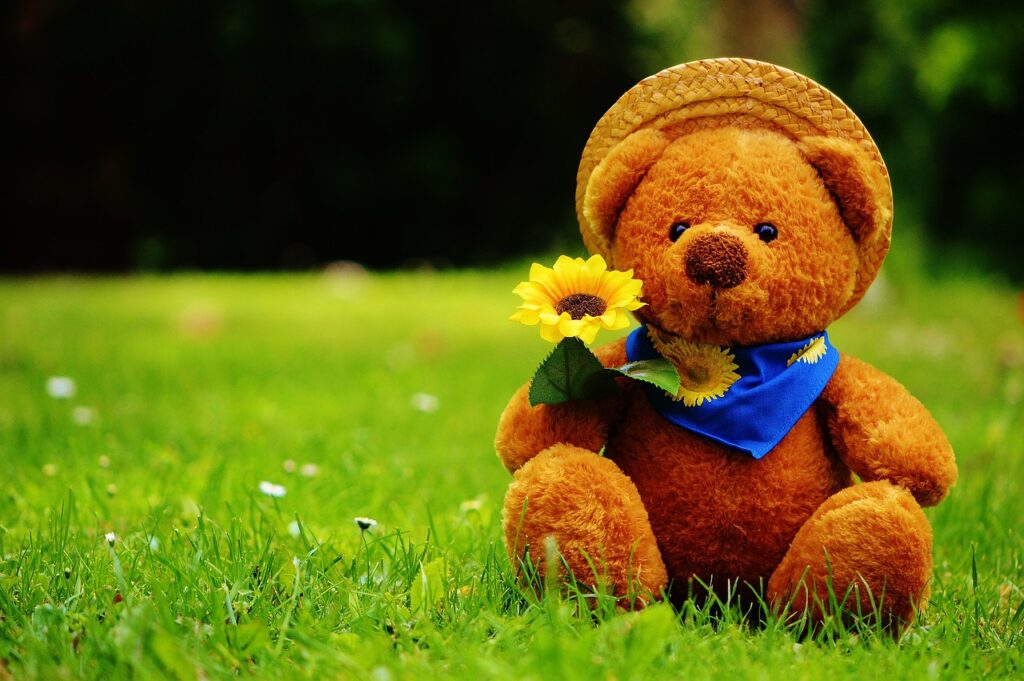 Plüsch Teddy